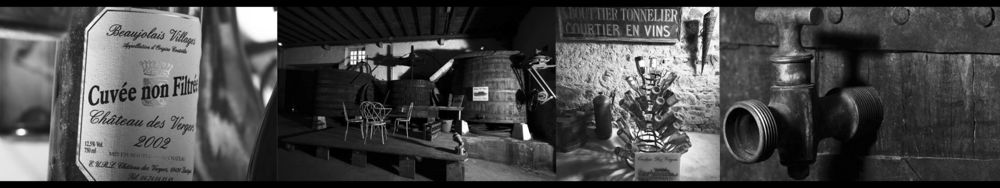 Château des Vergers