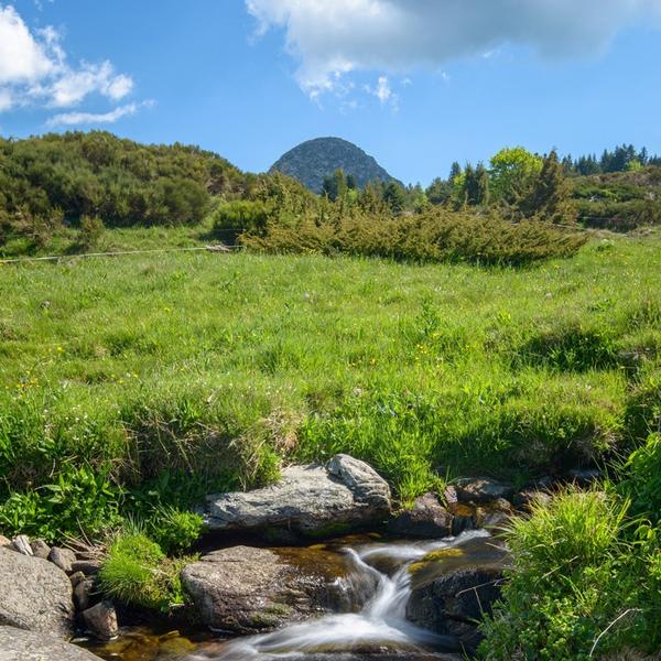 Le Mont Gerbier-de-Jonc - © Jérémie Mazet - © Jérémie Mazet