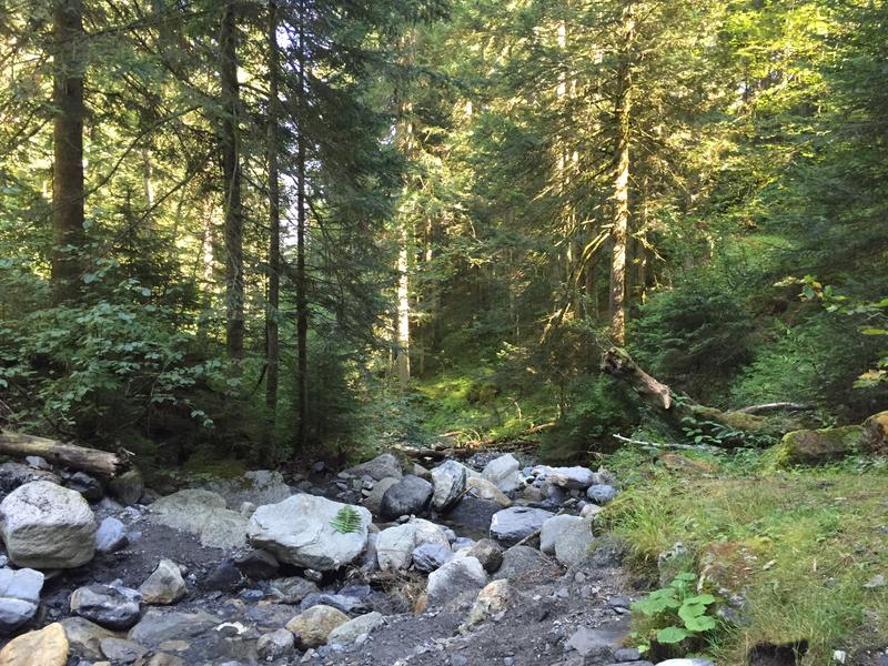 Les chalets de l'Avenaz - sentier pédestre_Cordon
