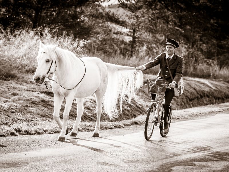 Fcateur à vélo à côté dun cheval blanc