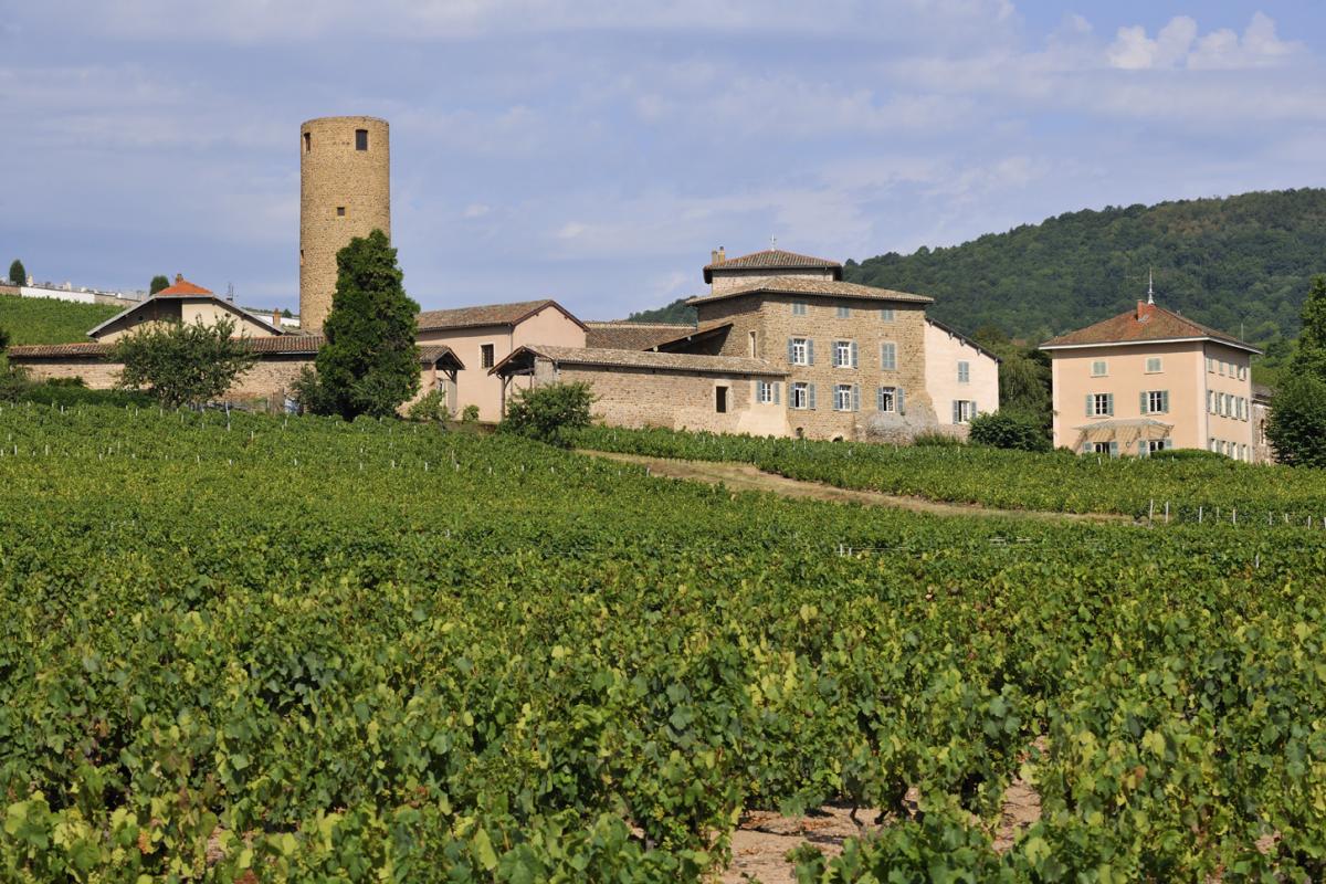 Grand Gîte (46 personnes) La Sarrasine - Château des Tours à St-Etienne-La-Varenne dans le Beaujolais - Rhône : la propriété.