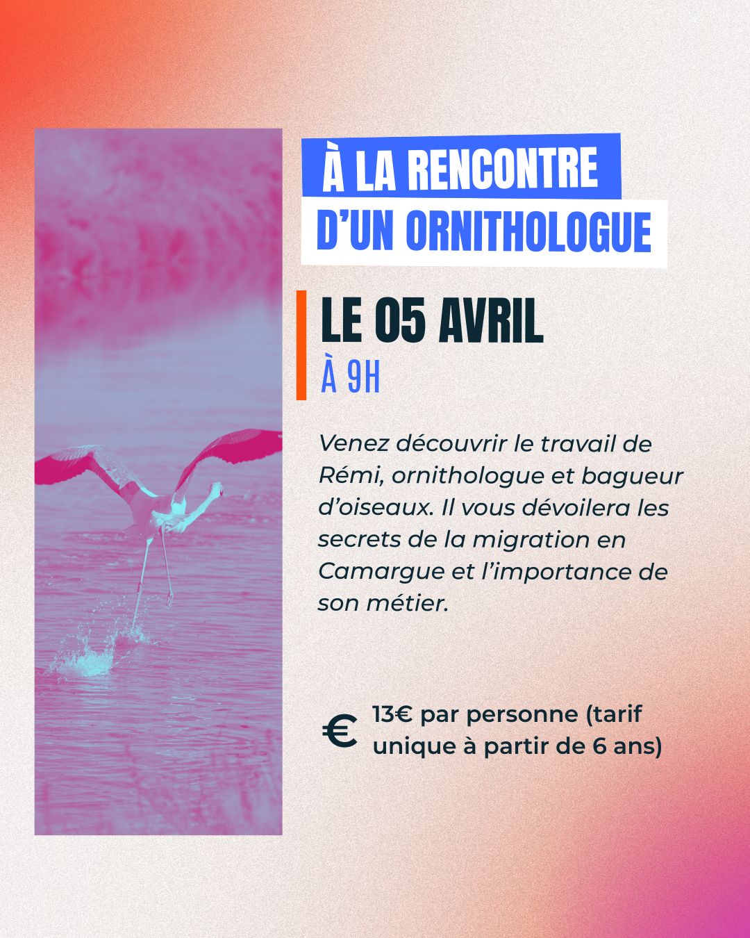 Rendez-vous éclats de savoir : "A la rencontre d'un ornithologue"