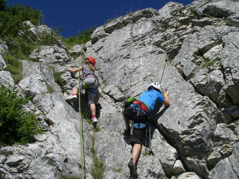 Lezard des Bois : escalade