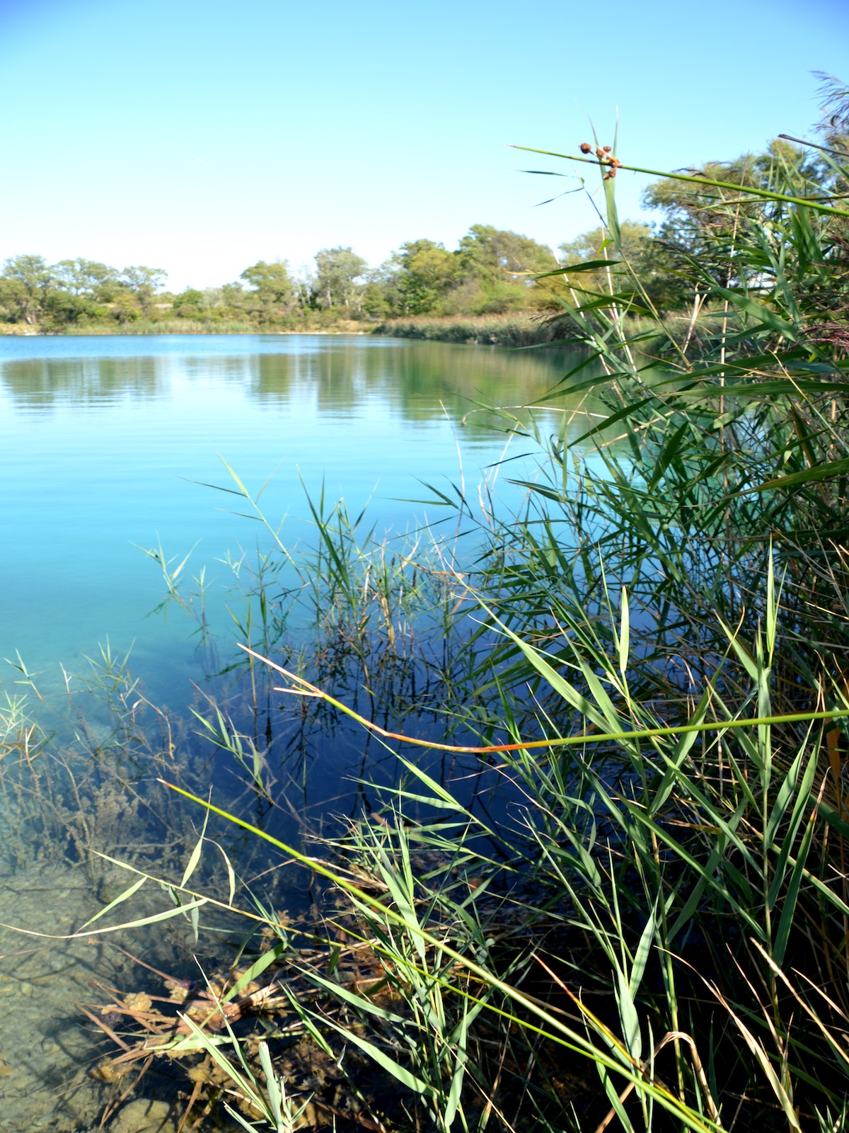 Lac De L Aillade Beaumont De Pertuis Pêche aux 7 Lacs (Beaumont-de-Pertuis) | Provence-Alpes-Côte d'Azur Tourisme