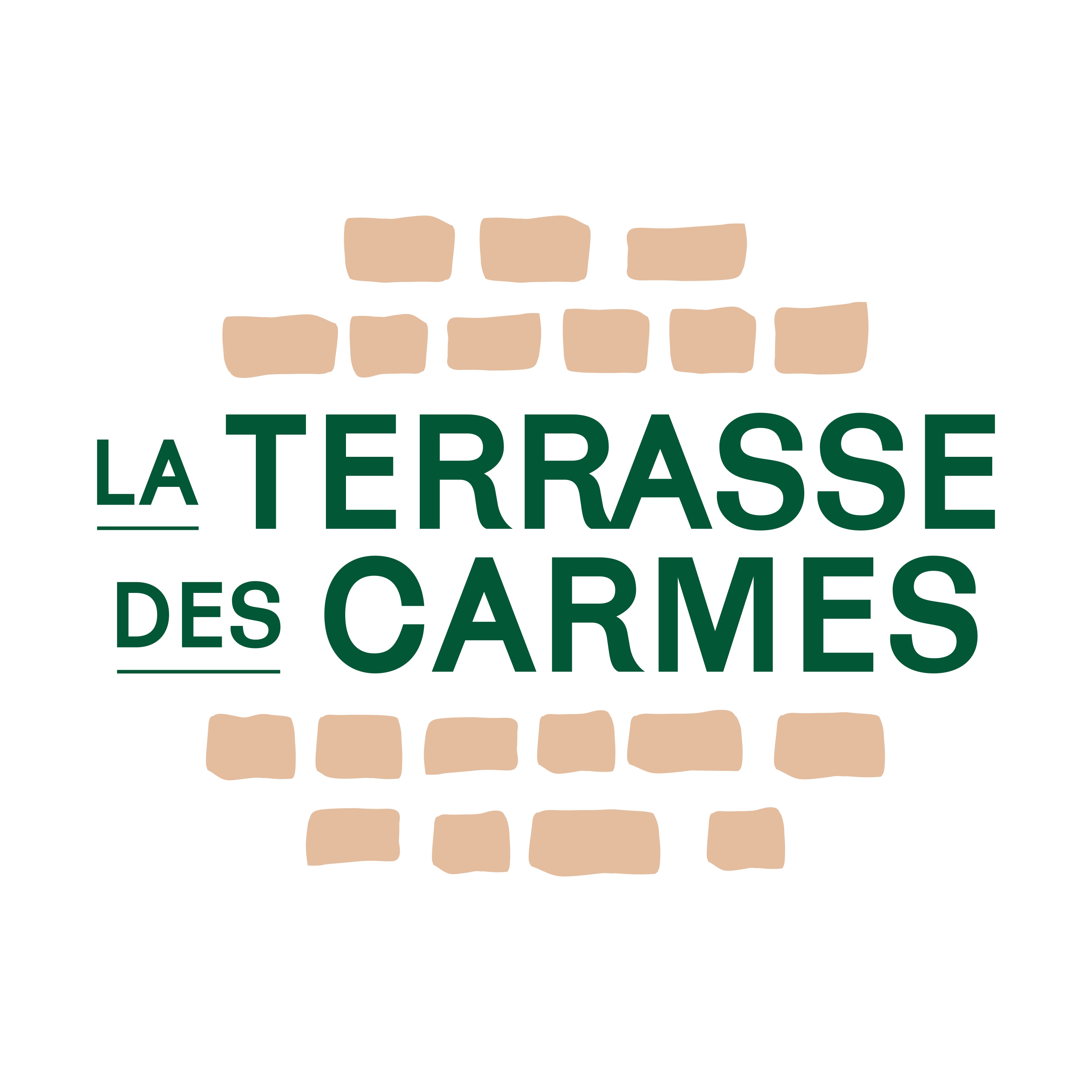 la-terrasse-des-carmes-logo-carre_pages-to-jpg-0001(1)