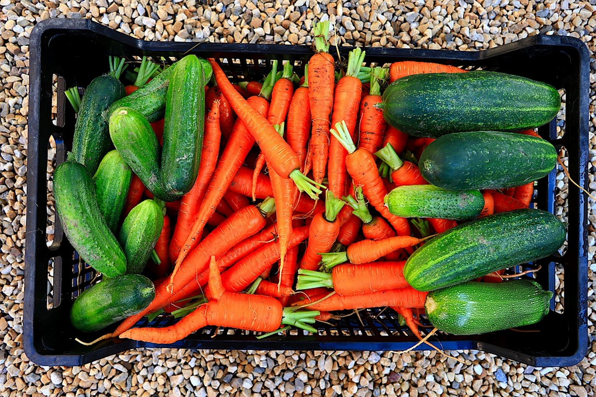 Au Grès des Saisons