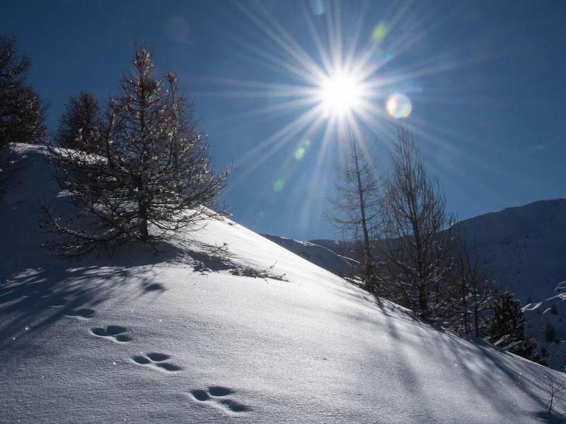 traces dans la neige - © Cyril Coursier