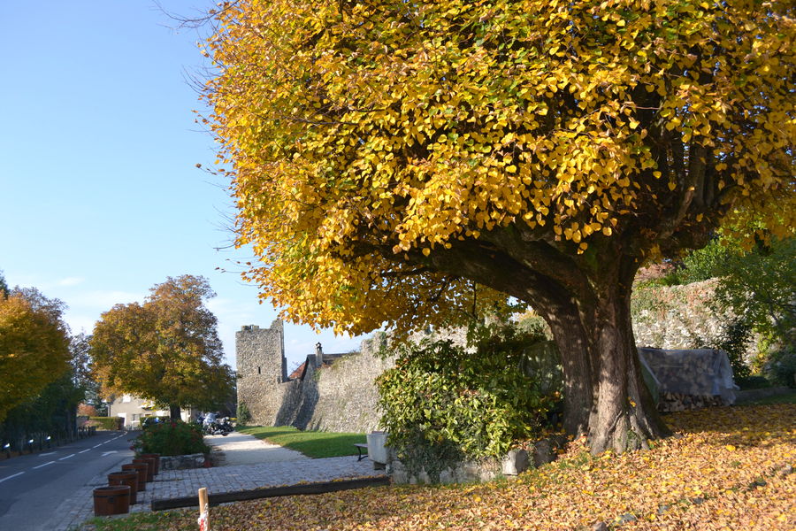 les remparts depuis la place de la mairie