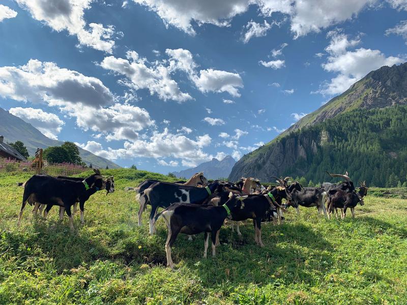 La ferme des étroits à Valloire