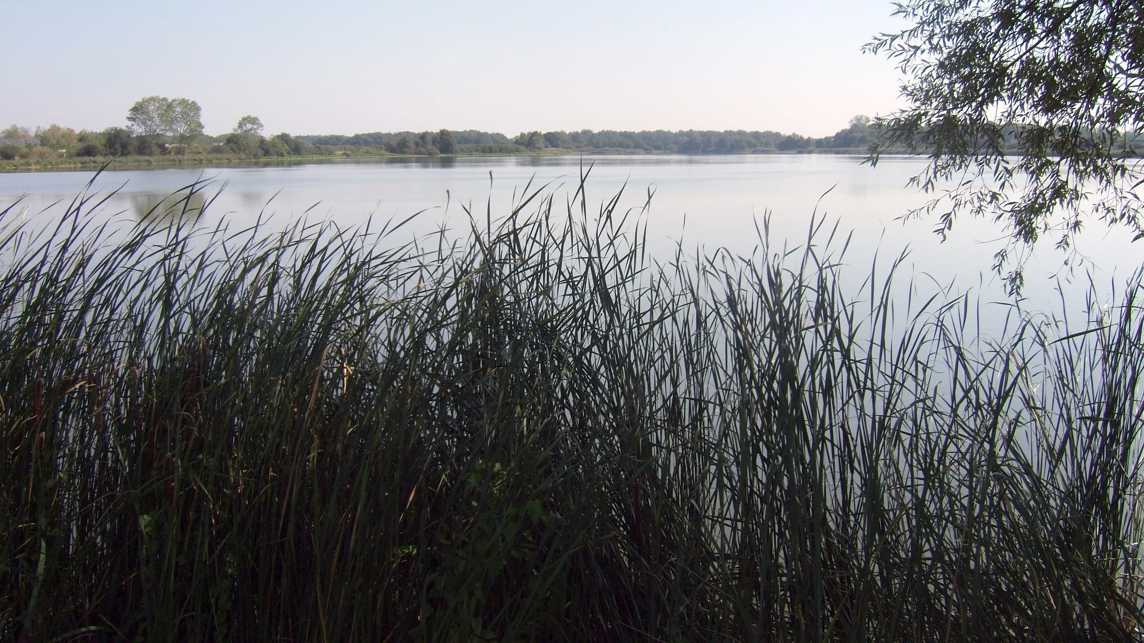 Balade européenne en Dombes, une nature à préserver_Lent