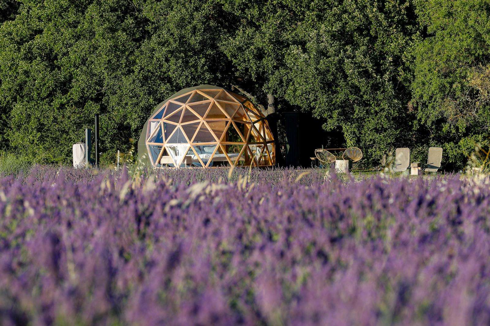 La bulle du Lavandin, Aix-en-Provence - photo 5