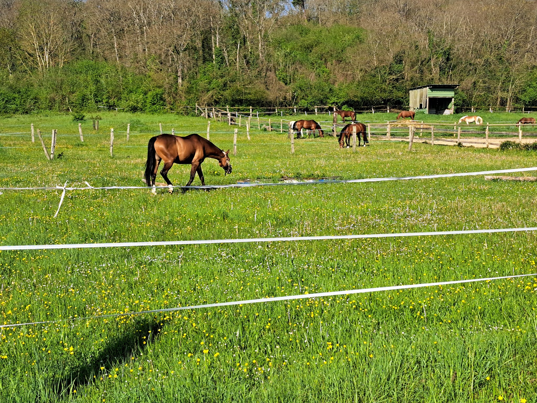Centre d'u00e9quitation