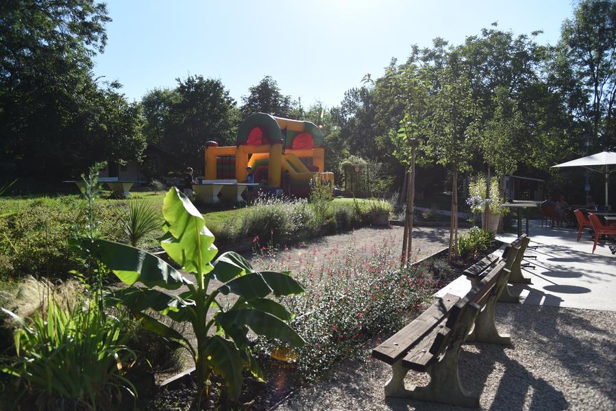 Pétanque et Jeux au camping