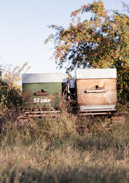 nougats-silvain-le-sentier-des-abeilles-ruche