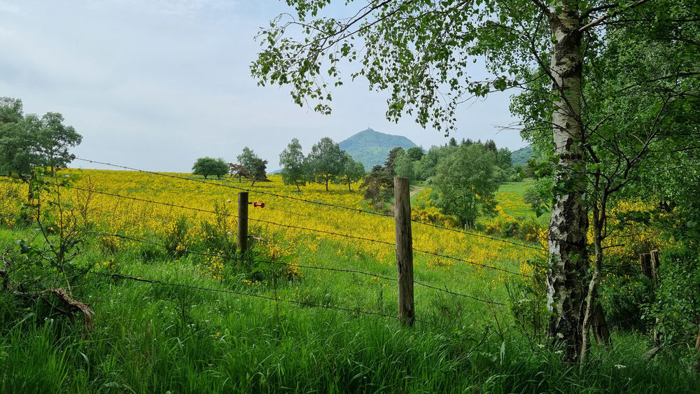 La Croix de Ternant depuis le puy des Goules à VTT