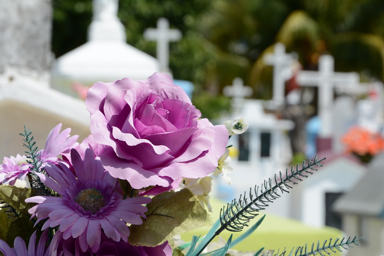 Le printemps des cimetières - visite du cimetière de Messimy_Messimy-sur-Saône