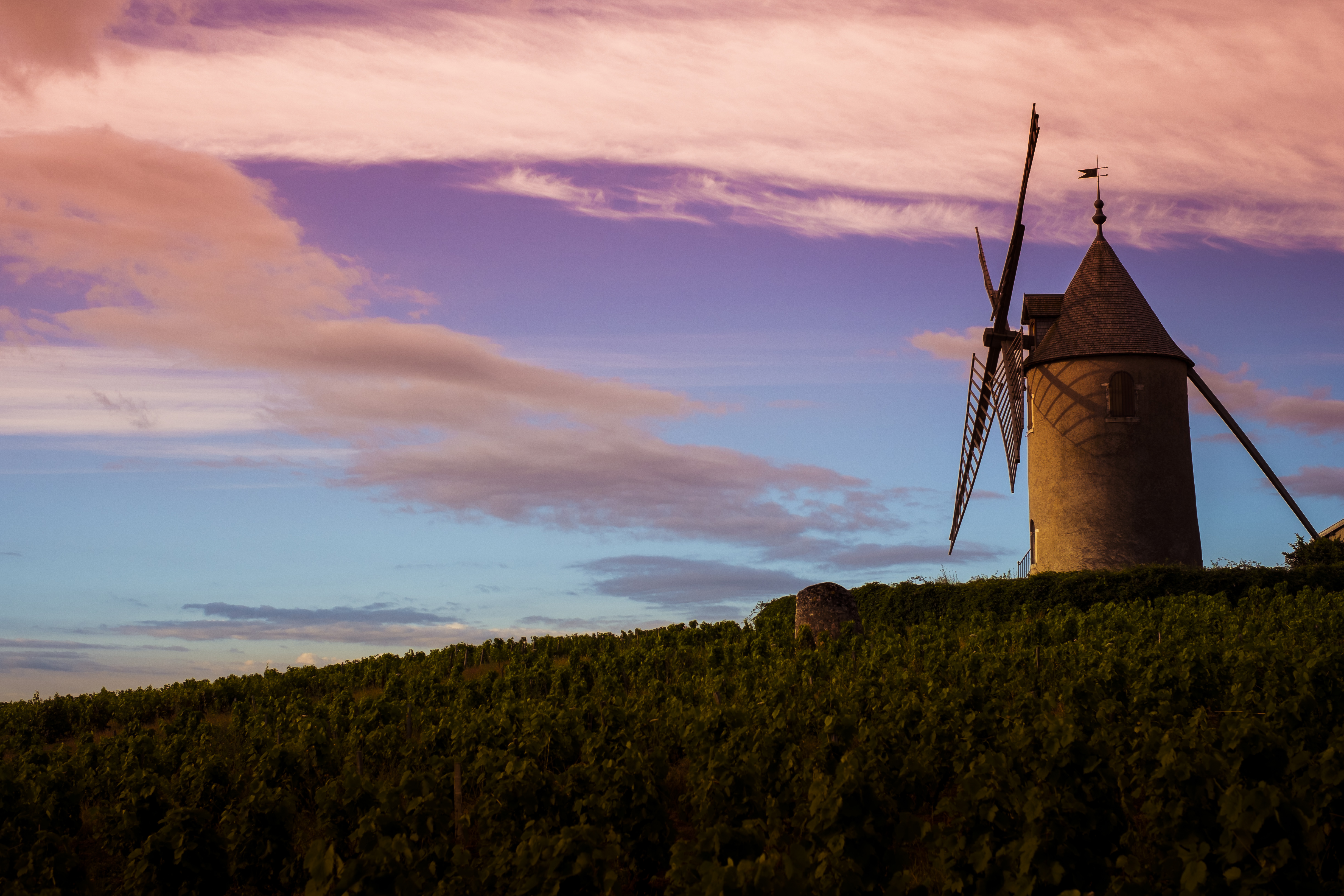 Romanèche-Thorins - Moulin à vent