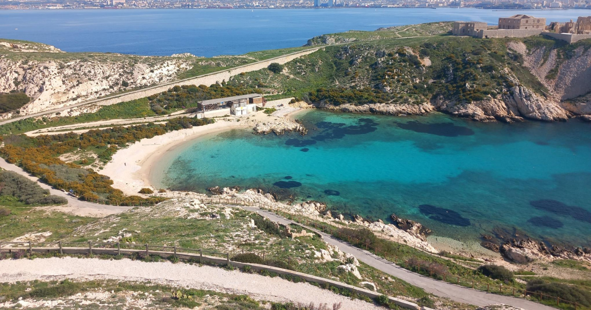 Balade écogarde : découverte du Frioul