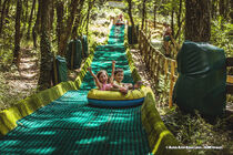 Le Bois des Lutins - Villeneuve-Loubet