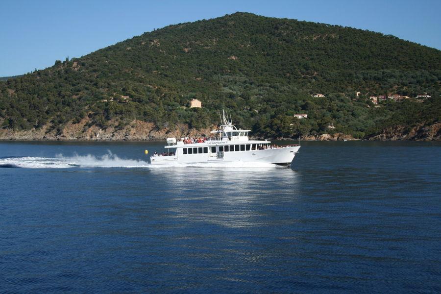 Vedettes îles d'or