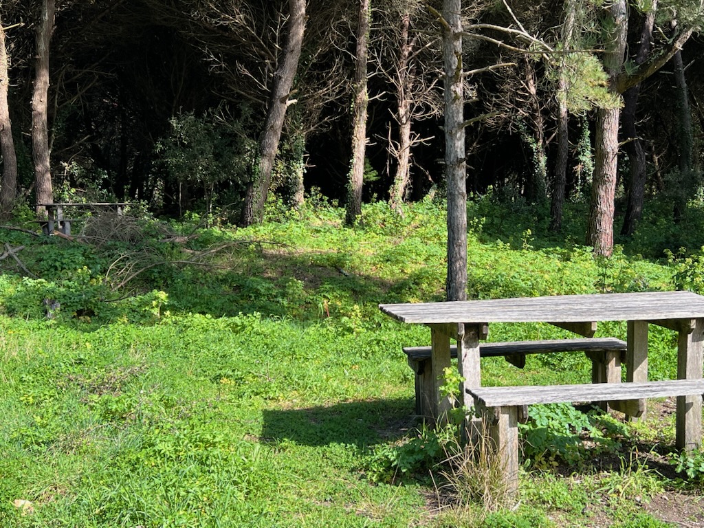 Aire de pique-nique de la forêt de la Combe à l’Eau