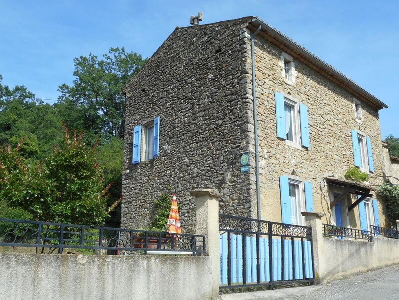 Le jasmin