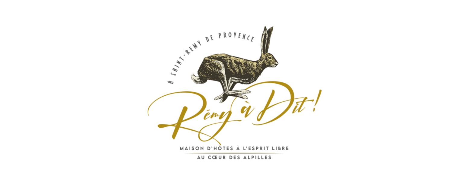 Rémy a dit !, Saint-Rémy-de-Provence - photo 5