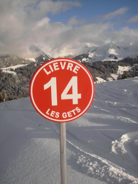 Balise Lievre