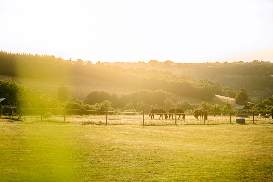 Les Chemins de Mandrin - Chambaran
