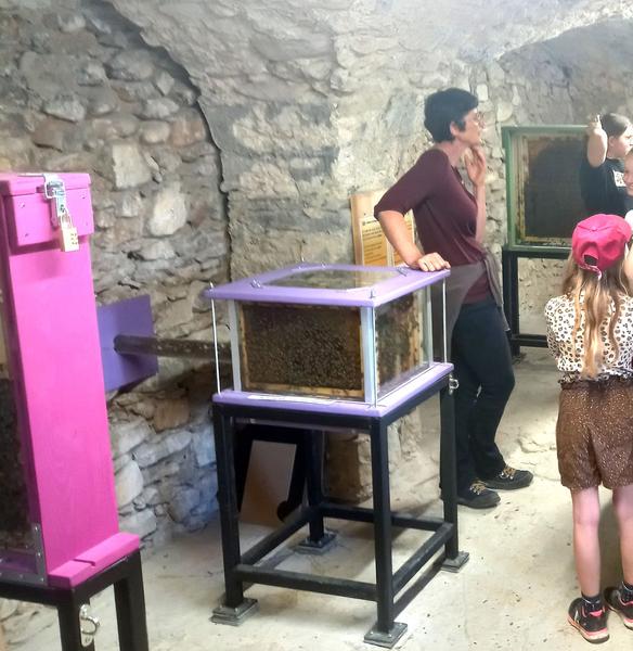 La Galerie des Ruches vivantes