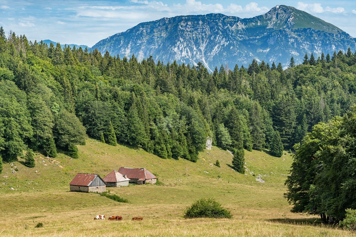 Tour des Bauges Chalet Reguéraz