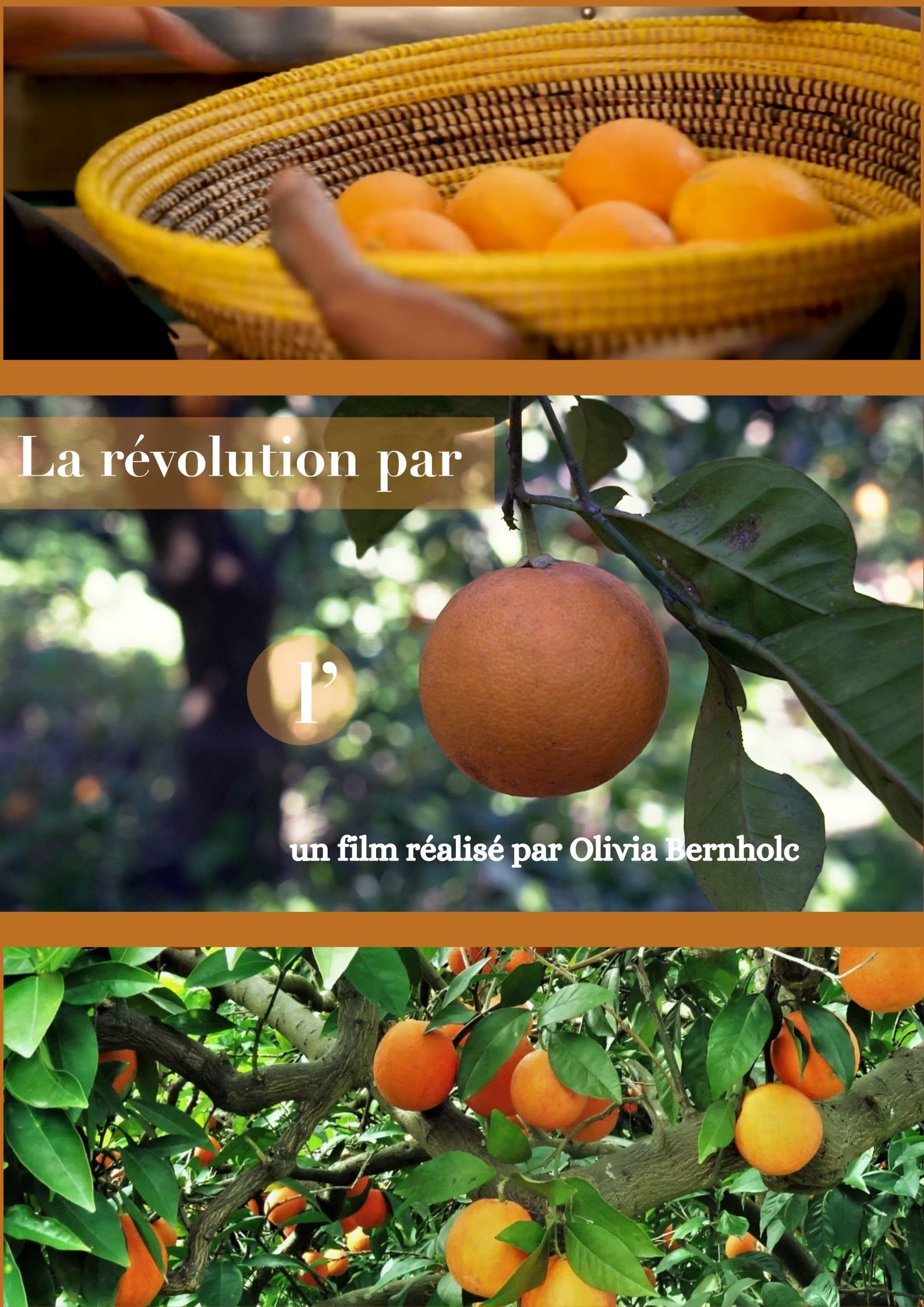 Ciné documentaire « La révolution par l&rsquo;orange » // Cunlhat