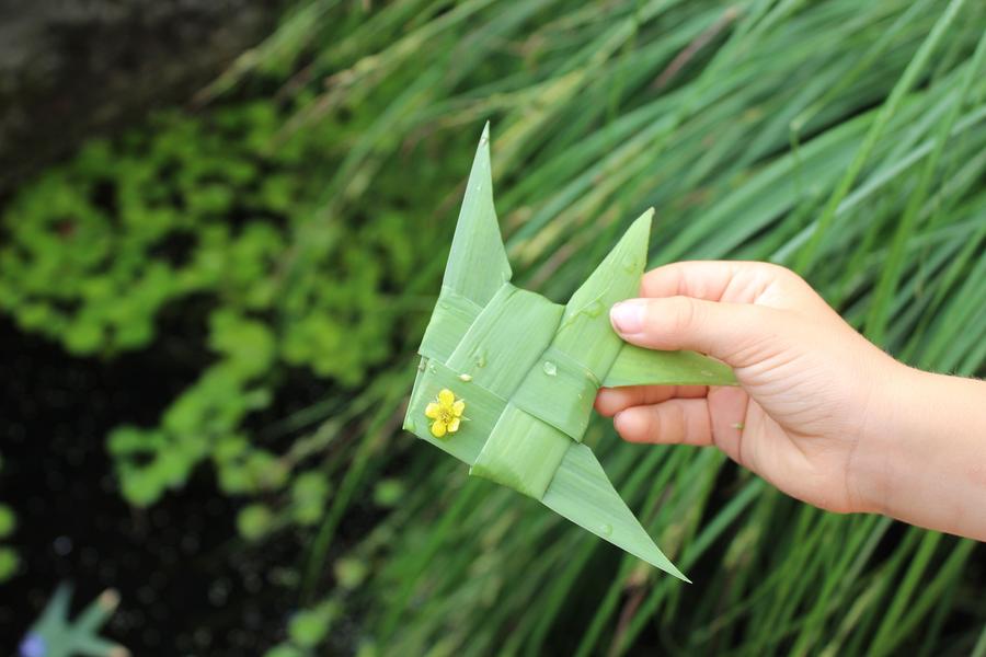 Animation nature sur les ENS : initiation à la vannerie sauvage_Optevoz-Balcons du Dauphiné