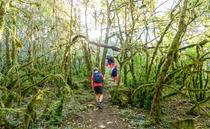 Escape game nature à l'étang de Roche Plage et des communaux de Thuile : missio…