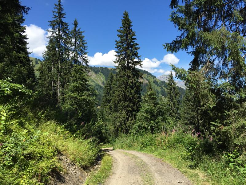 Les chalets de l'Avenaz - sentier pédestre_Cordon
