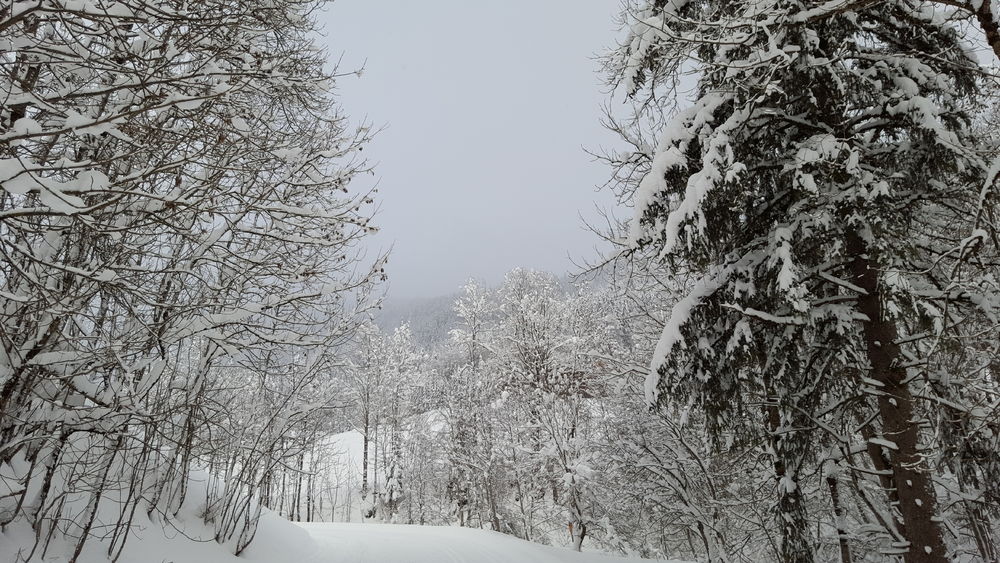 Sentiers raquettes 19 - La vallée du Bouchet