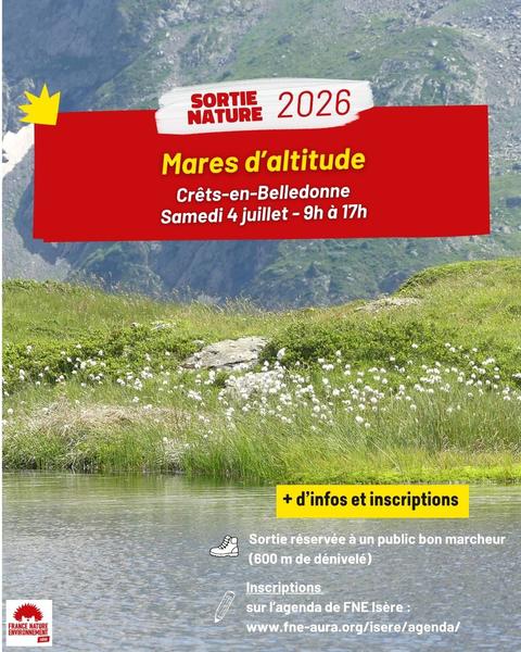 Mares d'altitude : un milieu vivant