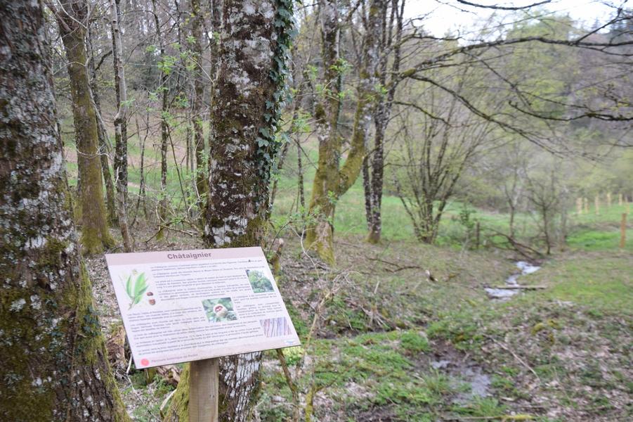 Sentier Villa Jacques