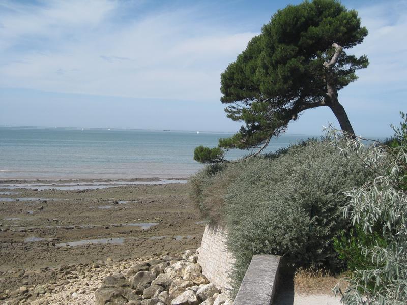 Un sentier de promenade littoral.