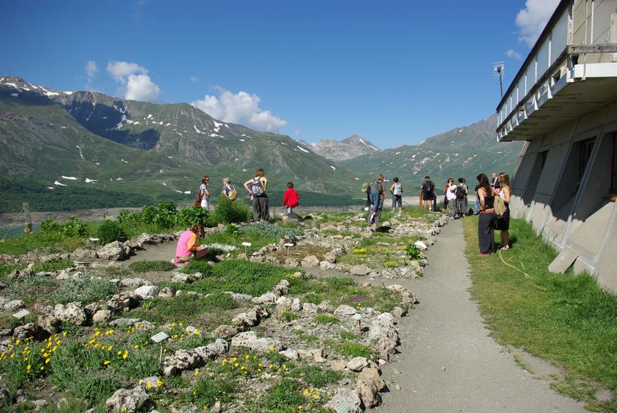 Jardin alpin du Mont-Cenis
