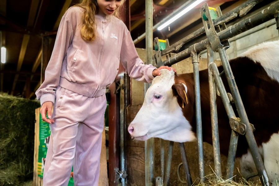 La Ferme de Seraussaix_Avoriaz