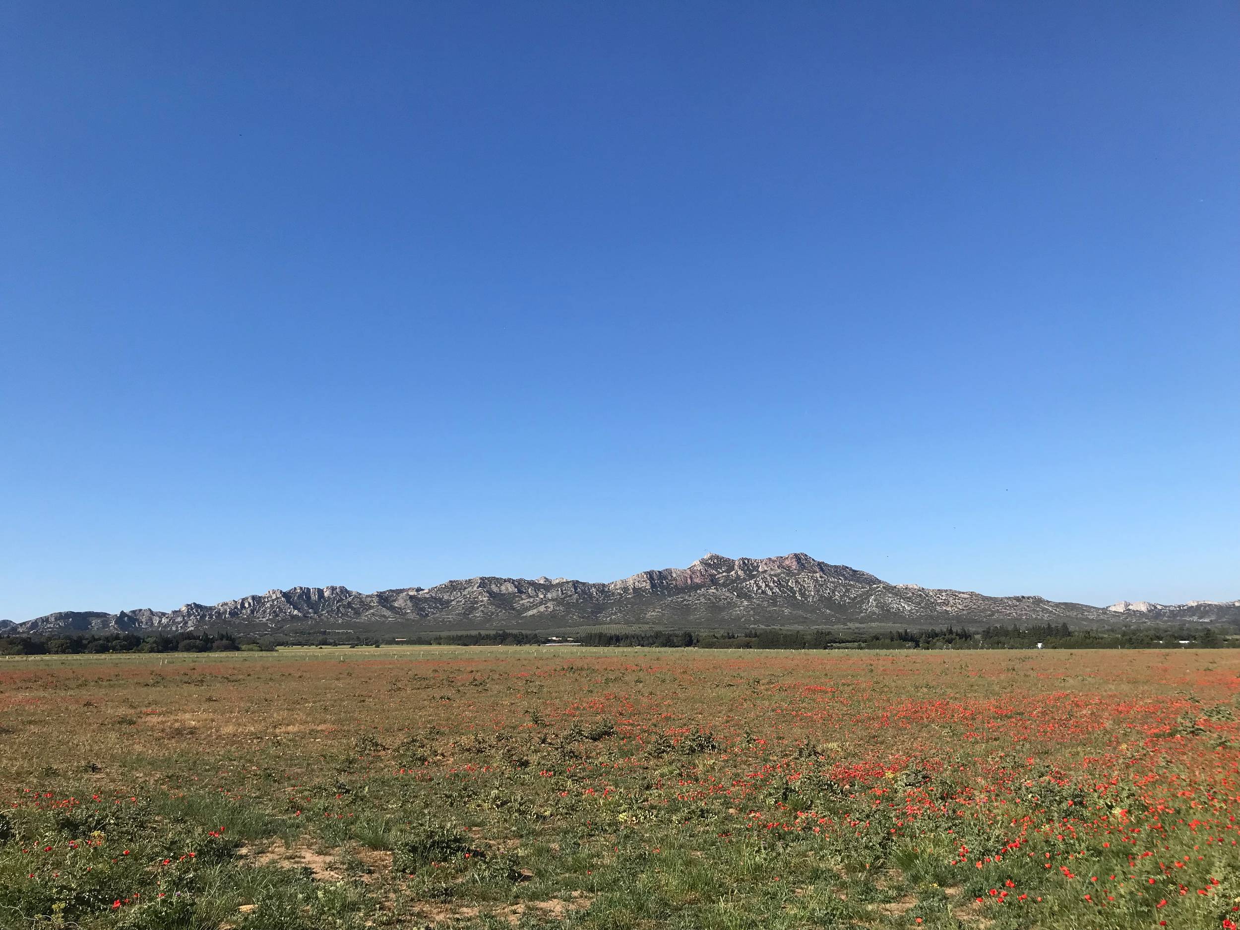 MOURIÈS - Du piémont à la Crau verte en gravel, Mouriès - photo 3