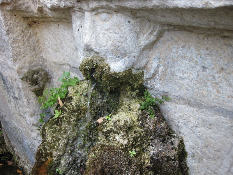 zoom sur une tête de la fontaine - zoom sur une tête de la fontaine - Gustave Legrand