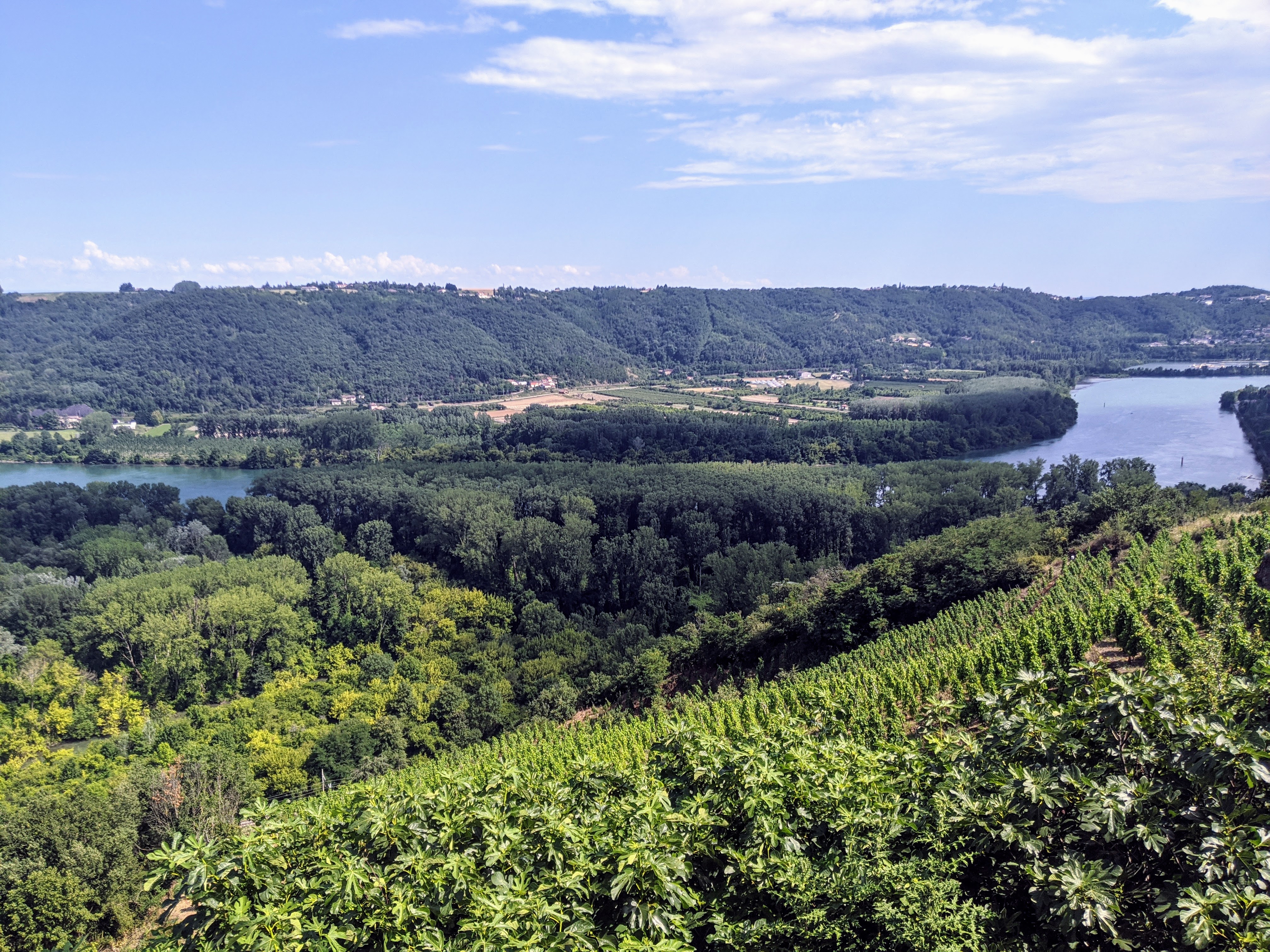 Wine Notes dansantes au Domaine Barge