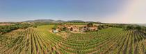 Wine Notes au Domaine Verzier_Chavanay