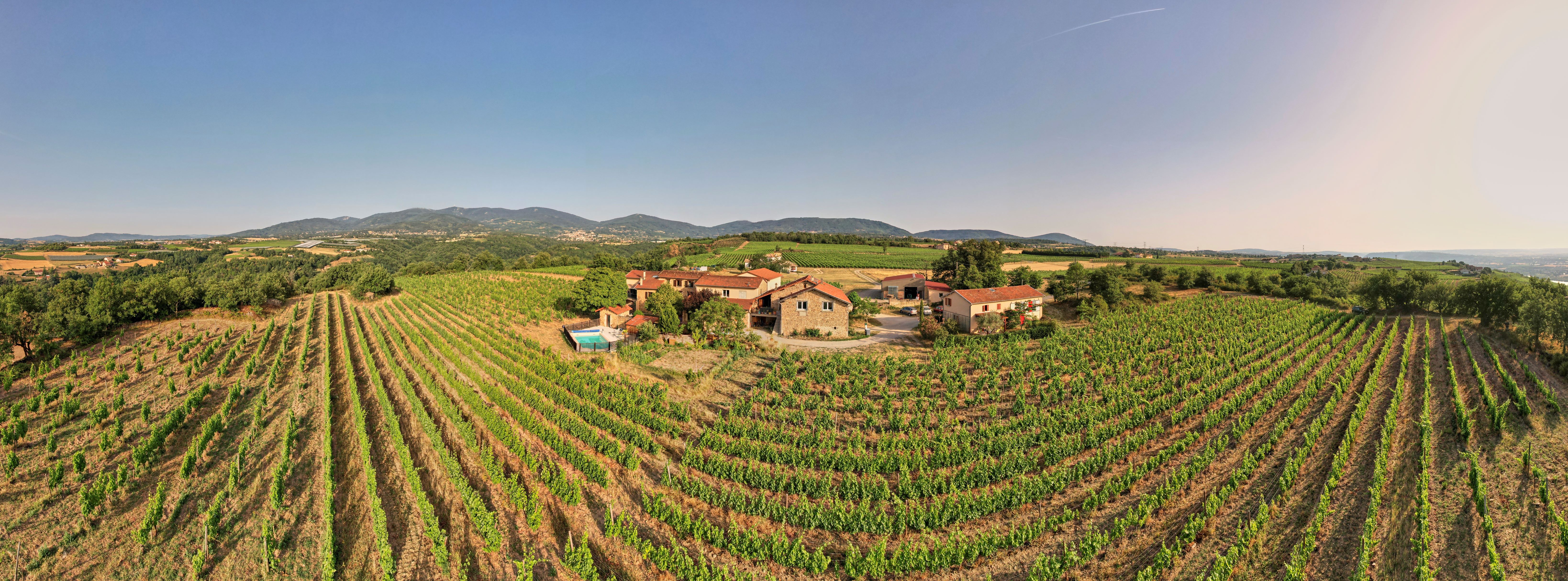 Wine Notes au Domaine Verzier