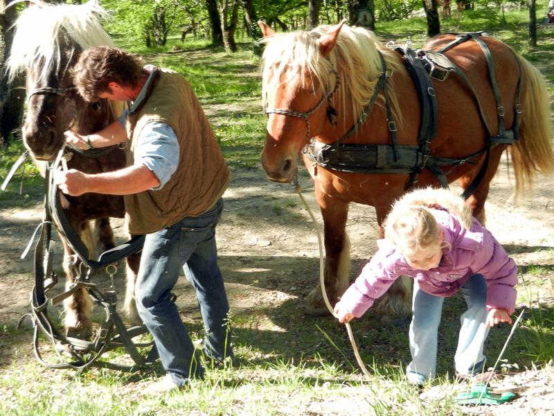 Evasion nature roulotte itinérante et balade en calèche_Le Poët-Célard