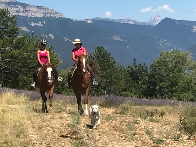 a cheval dans le diois