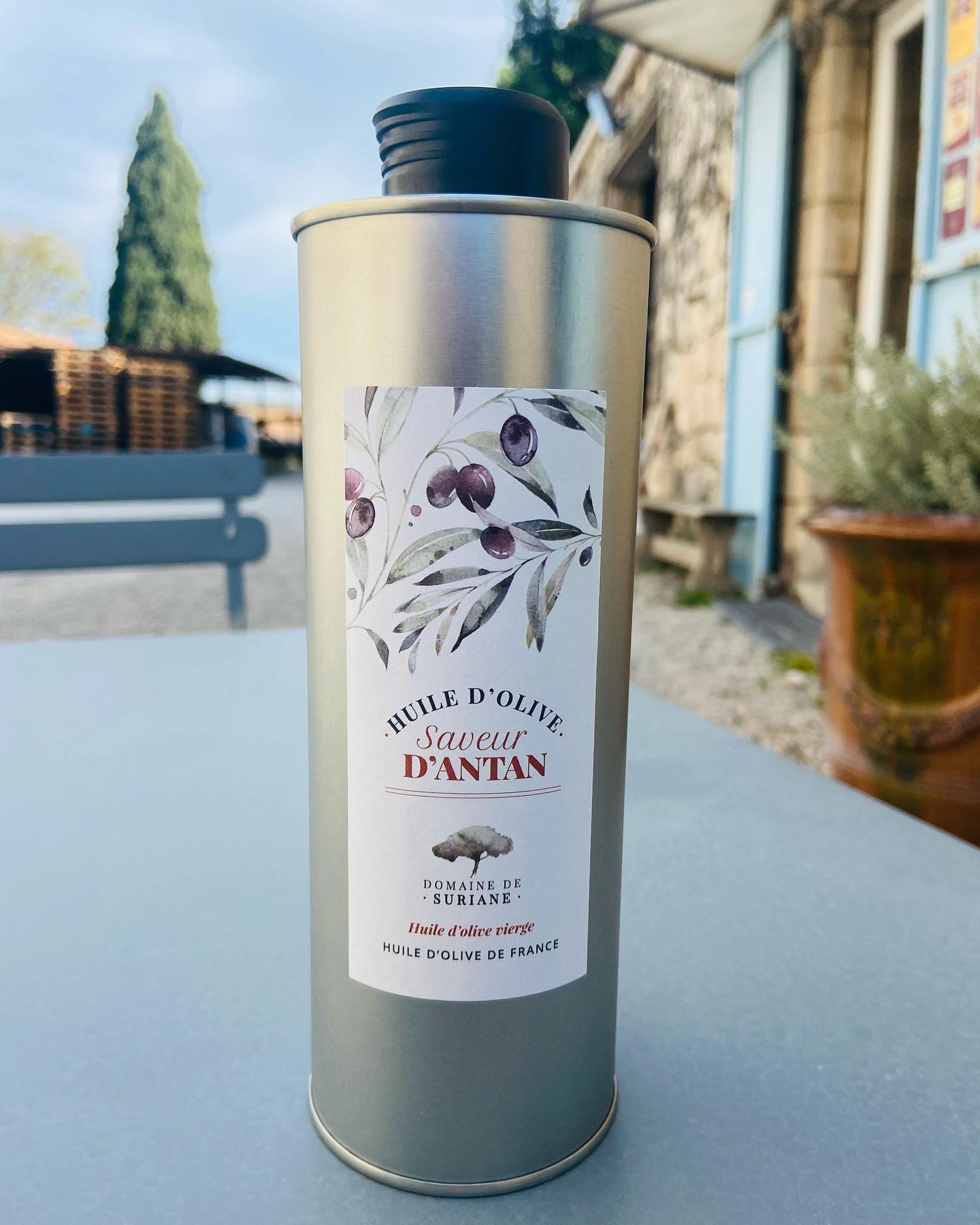 SCEA DOMAINE DE SURIANE - photo 5