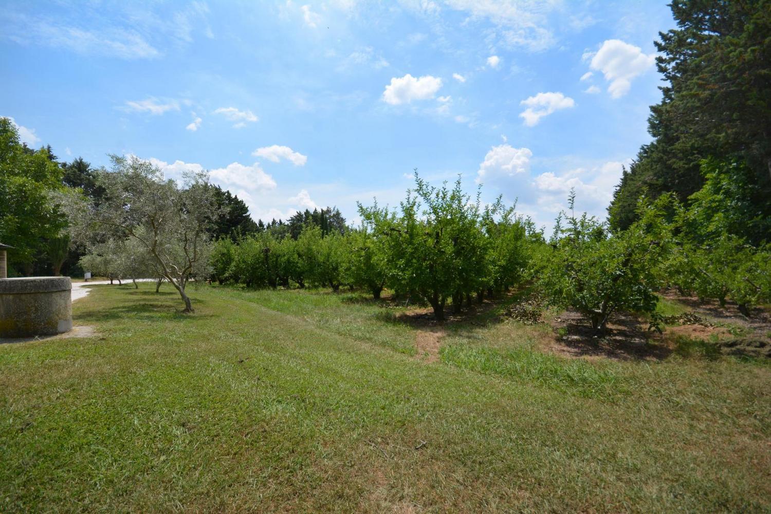 L'Aouduletto, Mallemort - photo 26